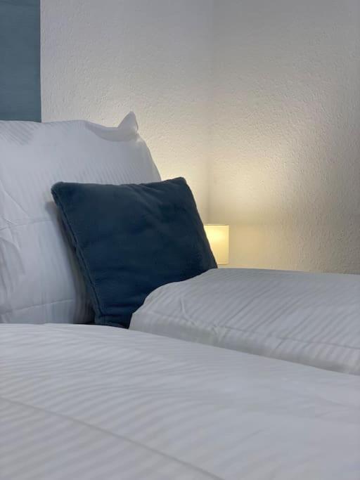 Lux Apartment Near Frankfurt! Mörfelden-Walldorf Exteriér fotografie