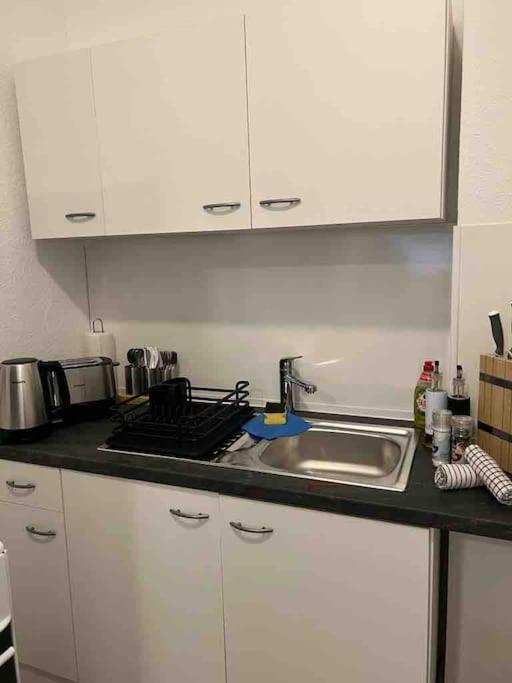 Lux Apartment Near Frankfurt! Mörfelden-Walldorf Exteriér fotografie
